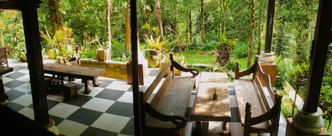 Happy Ria Homestay & Guesthouse 부킷 라왕 외부 사진